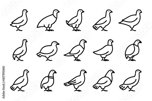 Pigeon Silhouettes Illustration: A collection of minimalist pigeon silhouettes, perfect for various design applications, representing simplicity, versatility, and effortless charm.