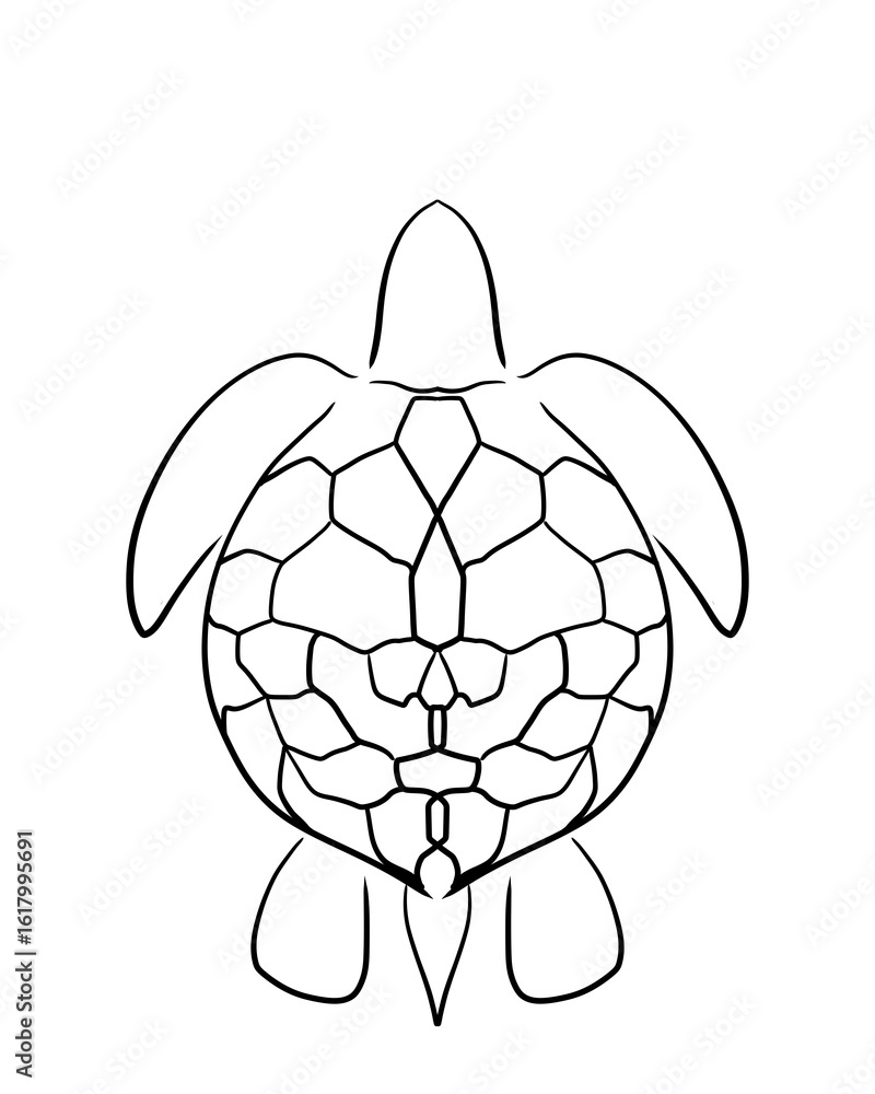 Obraz premium turtle vector illustration