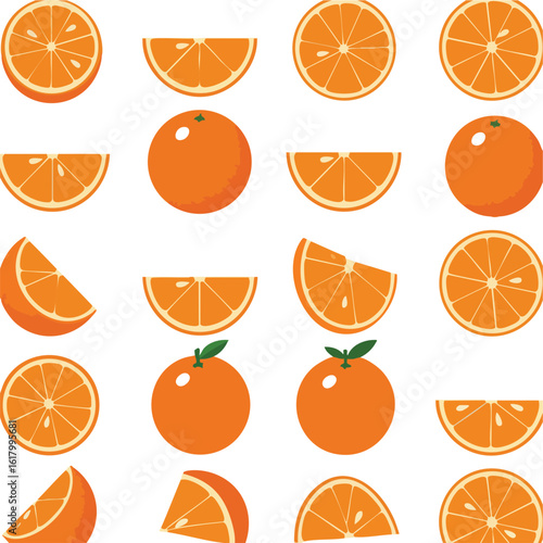 Collection of Fresh Orange Fruit Vector Illustrations