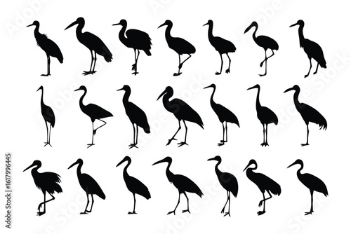 Stork silhouettes: A collection of elegant stork silhouettes against a pristine backdrop, ideal for design and illustrative purposes.