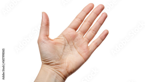 Foto neat and clean empty hand palm isolated on transparent background