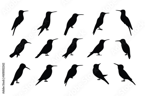 Hummingbird Silhouette: a collection of hummingbird silhouettes, gracefully captured against a neutral background, each bird poised with delicate elegance. 