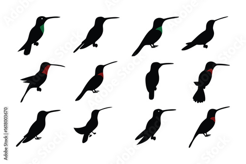 Silhouette Collection of Hummingbirds: An array of artistic hummingbird silhouettes, a celebration of delicate avian elegance and design. Showcasing the subtle beauty of each bird.