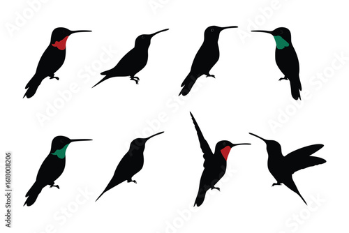 Hummingbird Silhouettes: A collection of elegant hummingbird silhouettes showcase the beauty and grace of these tiny aerial acrobats.