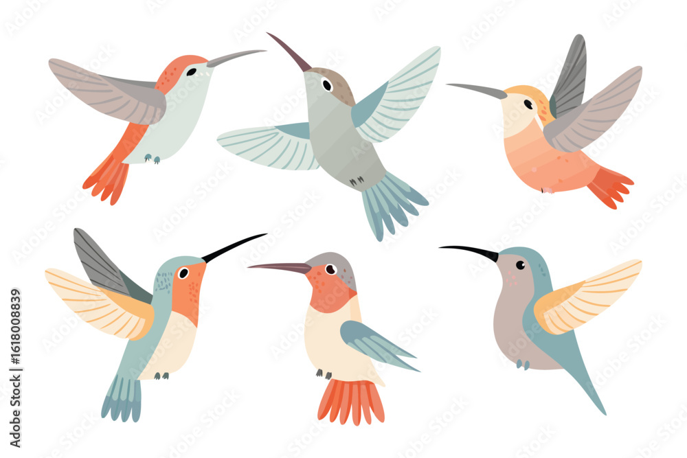 Obraz premium Hummingbird Varieties: A captivating illustration showcases a collection of vibrant hummingbirds in flight, highlighting their beauty and unique characteristics.