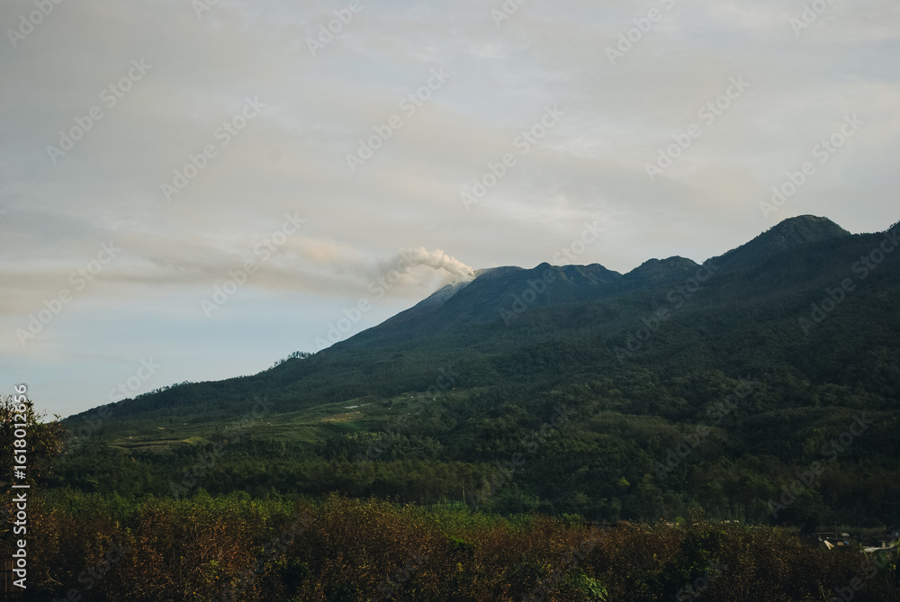 Fototapeta premium Beautiful high altitude forest mountain views