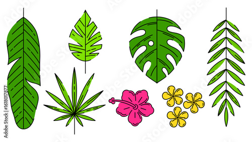 Set of stylized palm leaves. Decorative image of tropical foliage and plants.