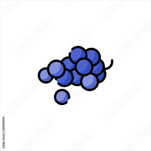 blue grape cluster