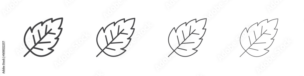 Fototapeta premium Birch leaf icon concept outline symbol design.