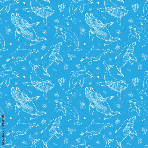 Vector seamless pattern with whales and dolphins. Marine animals in engraving technique, freehand drawing with ink. White elements with blue background. Can be used for wallpaper, textile