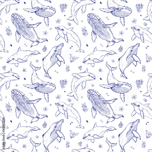 Vector seamless pattern with whales and dolphins. Marine animals in engraving technique, freehand drawing with dark blue ink. White background. Can be used for wallpaper, textile, fabric