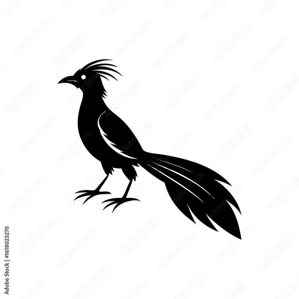 Obraz premium Detailed silhouette illustration of a black roadrunner bird standing alert isolated on white background isolated on transparent background