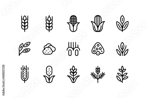 Collection of Minimalist Farming and Agriculture Icons Representing Corn Wheat Mushrooms and Plants in Simple Black Line Art Style