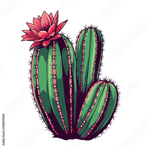 Beautiful blooming cactus illustration with a detailed pink flower, symbolizing nature's endurance and growth isolated on white.
