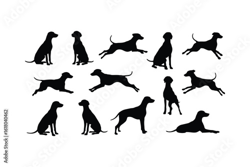 Weimaraner dog silhouettes various poses animal canine