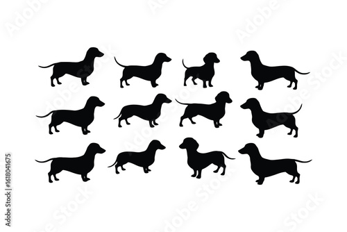 Black dachshund silhouettes standing white