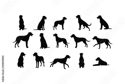 Black dog silhouettes in various poses canine animal
