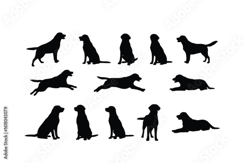 Black labrador dog silhouettes various poses