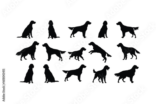 Black setter dog silhouettes various poses animal