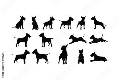 Bull terrier dog silhouettes various poses black