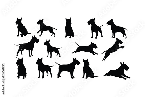 Bull terrier dog silhouettes various poses black