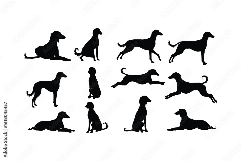 Fototapeta premium Elegant dog silhouettes various poses dogs animal