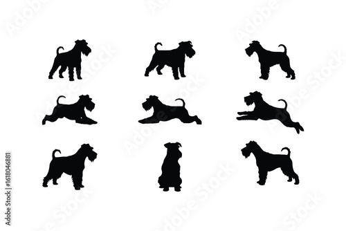 Miniature schnauzer dog silhouettes in various poses black white