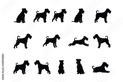 Miniature schnauzer dog silhouettes in various poses black