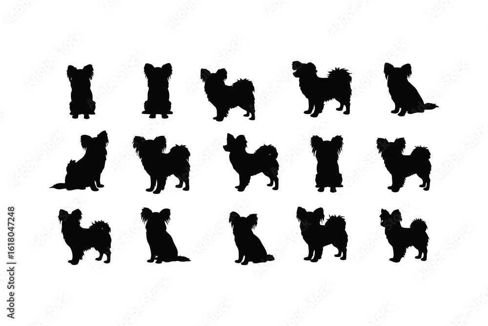 Naklejka premium Papillon dog silhouettes various poses black white