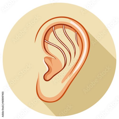 Ear Anatomy Illustration, Human Hearing Organ, Cartoon Style Flat Design, Isolated on Beige Round Background