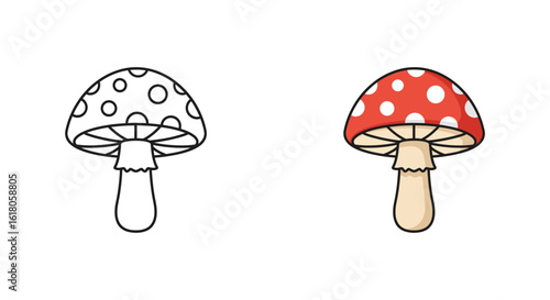 Vector illustration of mushrooms 