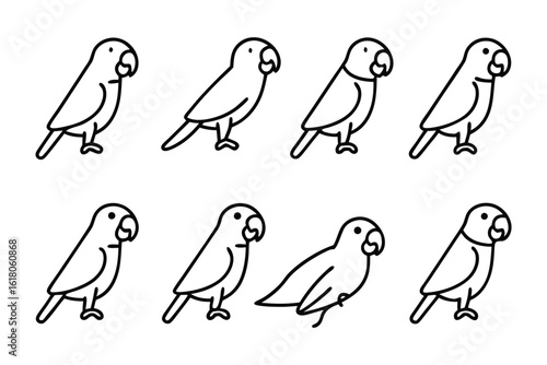 Parrot Illustration Set: A collection of stylized parrot illustrations in simple, clean lines, showcasing the charm and elegance of these tropical birds.