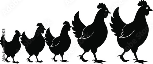 A collection of varied illustrations of hens, ranging from realistic to stylized, often depicting them in farm settings or alongside eggs, highlighting poultry and agricultural themes