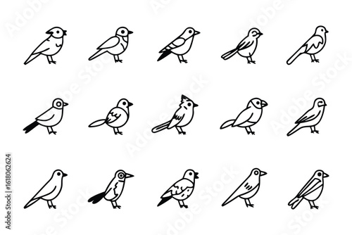 Diverse Avian Lineup: A clean, minimalist presentation showcases a diverse array of bird species, capturing their unique forms in a simple, yet elegant linear outline.