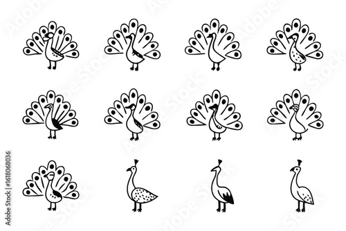 Peacock Collection: A collection of illustrations showcasing elegant peacocks in various poses, each a tribute to the bird's beauty and intricate design. 