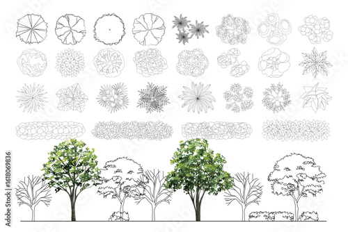 Top View Vector Icons of Trees and Plants for Floor Plan and Architectural Design Projects