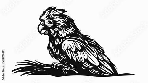 Illustration of a detailed black and white cockatoo perched on a branch with intricate feather details silhouette