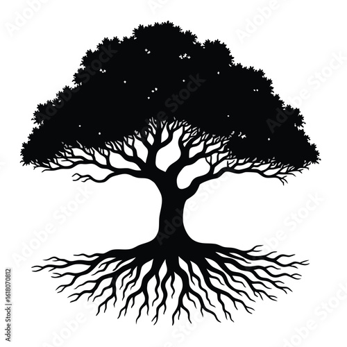 Black silhouette of a large tree with extensive roots white