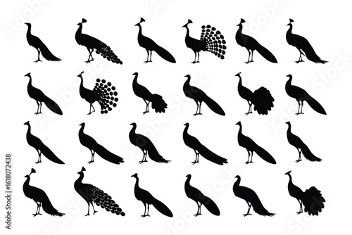 Peacock Silhouette Array: A collection of diverse peacock silhouettes, each capturing the majestic form of this avian marvel in elegant detail, showcasing a variety of poses.