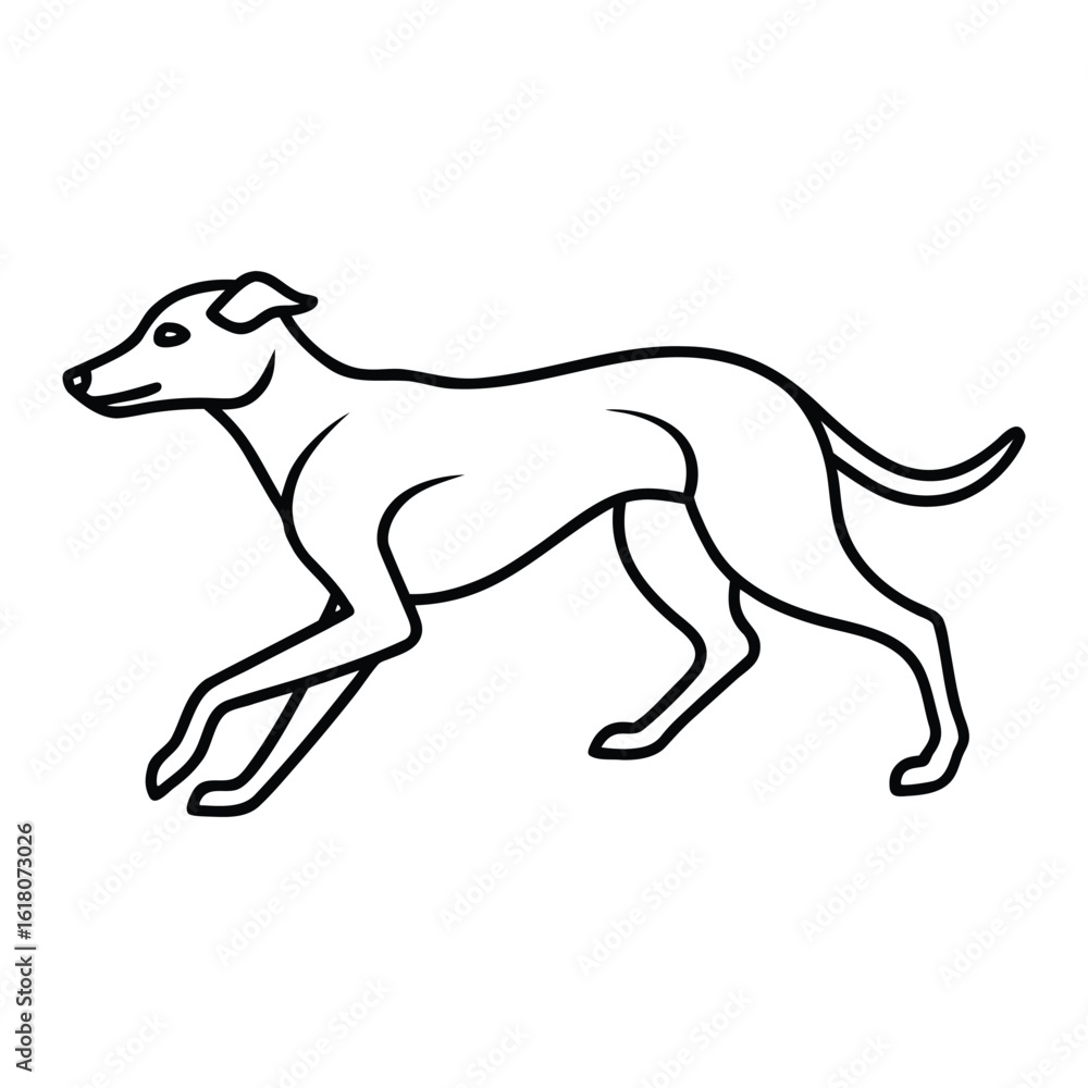Fototapeta premium Sleek greyhound in motion line art