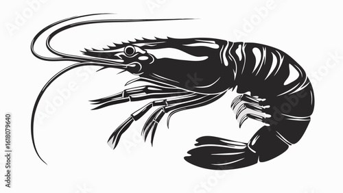 Illustration of a black and white shrimp with long antennae and segmented body on a white background silhouette