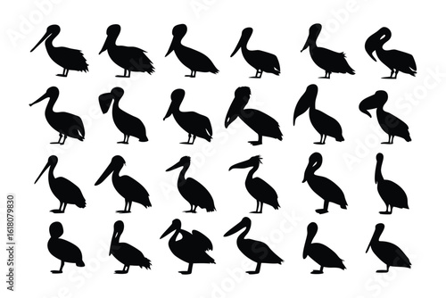 Pelican Silhouettes: A collection of pelican silhouettes captures their unique shapes and postures in a simple and elegant manner, perfect for various design projects.