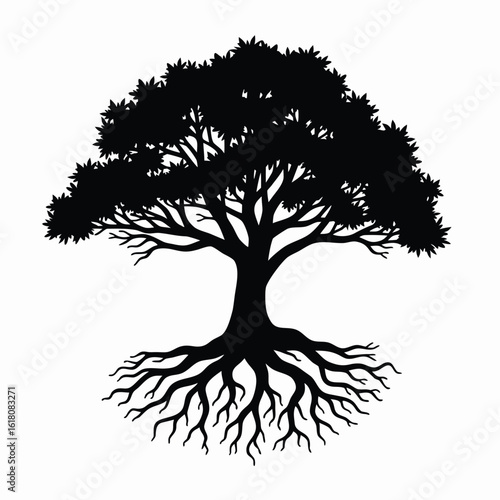 Majestic tree with sprawling branches and visible roots silhouette black