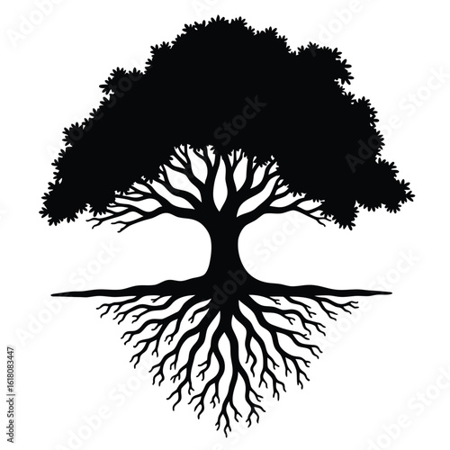 Silhouette of a mature tree with extensive roots branches foliage