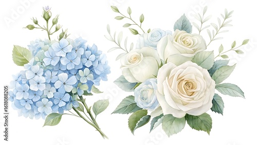 Delicate watercolor floral arrangements featuring soft blue hydrangeas and elegant white roses with subtle greenery on a clean white background