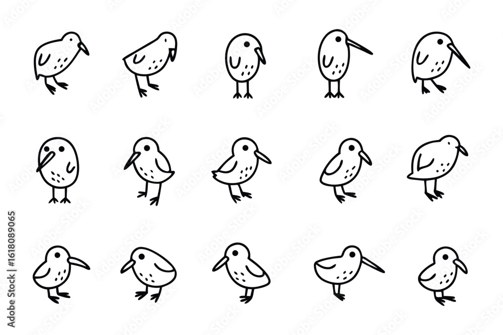 Fototapeta premium Kiwi Bird Illustrations: A charming collection of kiwi bird illustrations in various poses and perspectives, each delicately hand-drawn in a clean, modern, and minimalist style.