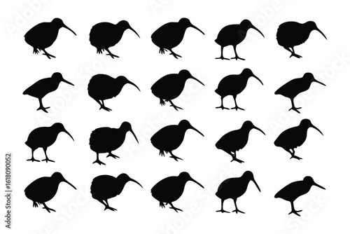 Kiwi Silhouette Cluster: A striking pattern showcases the iconic kiwi bird silhouette, a symbol of nature and wildlife. A unique arrangement captures the essence of the kiwi.