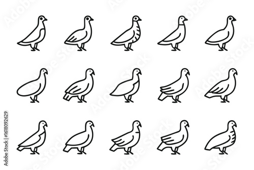 Avian Ensemble: A graphic compilation of pigeons showcases diverse avian forms in minimalist line art, revealing each unique pose in a stylish design.