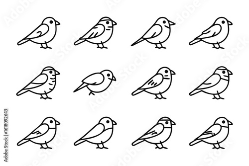 Bird Illustrations: A collection of simple and elegant line drawings of birds showcasing their forms.