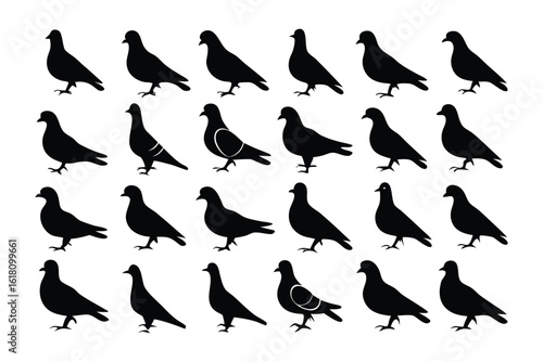 Pigeon Silhouette Array: An artful array of elegant pigeon silhouettes, each embodying a sense of simplicity and grace, poised against a clean backdrop, presenting a unique charm.